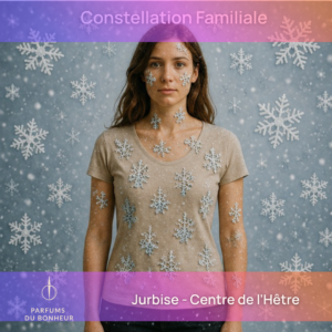 Constellation Familiale - 20 novembre 2026
